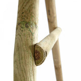 Plum Meerkat Wooden Swing Set