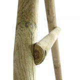 Plum Marmoset Wooden Swing Set